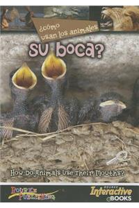 Como Usan Los Animales Su Boca? (Their Mouths?)