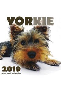 Yorkie 2019 Mini Wall Calendar