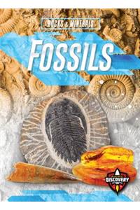 Fossils