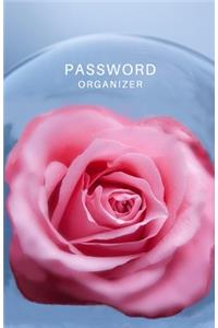 Password Organizer