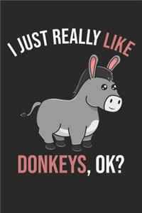 I Just Really Like Donkeys, OK?
