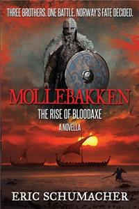 Mollebakken