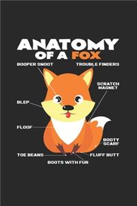 Anatomy of a fox
