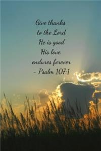 Give thanks to the Lord He is good His love endures forever