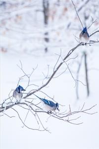 2020 Weekly Planner Three Blue Jays Snowy Winter Branch 134 Pages