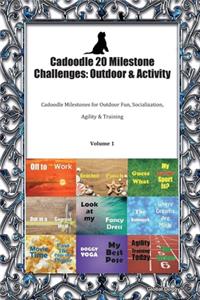 Cadoodle 20 Milestone Challenges