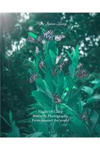 Flight of colorButterfly Photographers