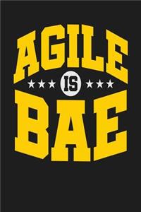 Agile is BAE