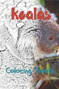 Koala Coloring Sheets