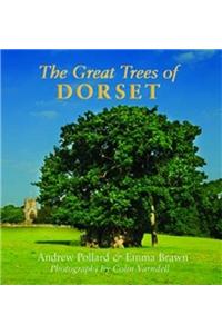 Great Trees of Dorset