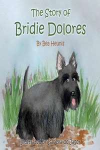 The Story of Bridie Dolores