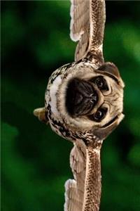 Rare Pug Owl Journal
