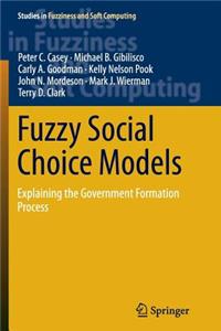 Fuzzy Social Choice Models