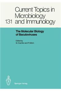 Molecular Biology of Baculoviruses