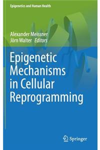 Epigenetic Mechanisms in Cellular Reprogramming