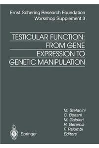 Testicular Function: From Gene Expression to Genetic Manipulation