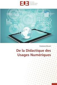 de la Didactique Des Usages Numériques