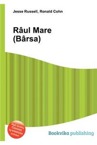 Raul Mare (Barsa)