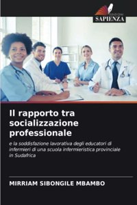 rapporto tra socializzazione professionale