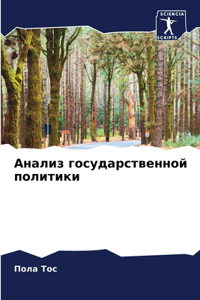 Анализ государственной политики