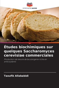 Études biochimiques sur quelques Saccharomyces cerevisiae commerciales