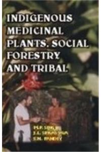 Indigenous Medicinal Plants, Social, Forestry and Tribals
