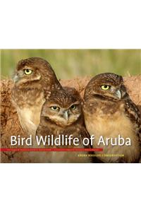 Bird Wildlife of Aruba