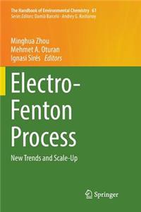 Electro-Fenton Process