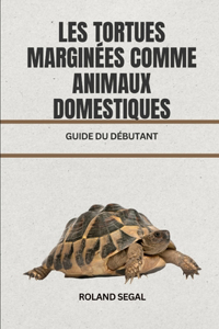 Les Tortues Marginées Comme Animaux Domestiques