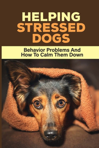 Helping Stressed Dogs