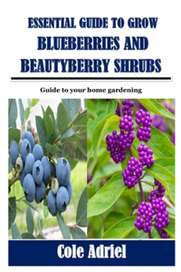 Essential Guide to Grow Blueberries and Beautyberry Shrubs