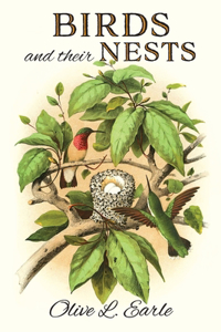 Birds and their Nests