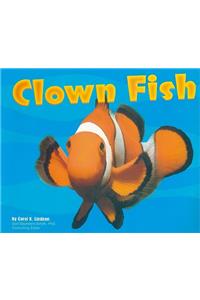Storytown: Library Book Stry 08 Grade 2 Clown Fish