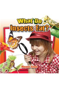 What Do Insects Eat?
