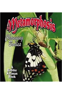 Metamorphosis: Changing Bodies