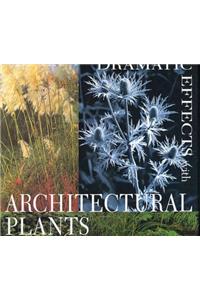 Dramatic Effects with Architectural Plants