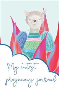 My Cutest Pregnancy Journal