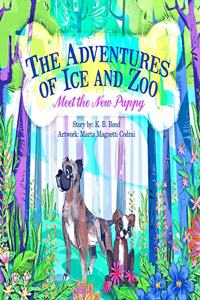 The Adventures of Ice and Zoo
