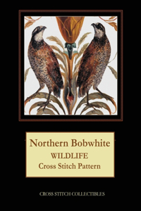 Northern Bobwhite