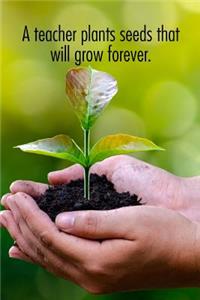 A teacher plant seeds that will grow forever