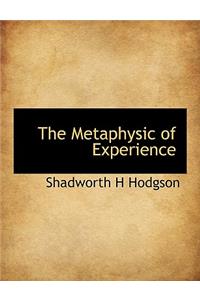 The Metaphysic of Experience