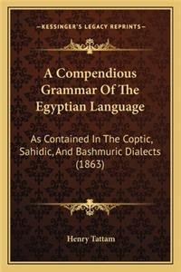 Compendious Grammar of the Egyptian Language