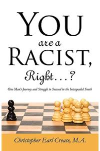 You Are a Racist, Right...?: One Man's Journey and Struggle to Succeed in the Intergraded South