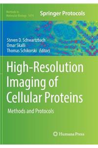 High-Resolution Imaging of Cellular Proteins