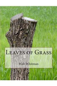 Leaves of Grass
