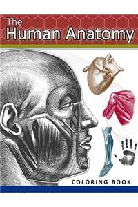 Human Anatomy Coloring Book