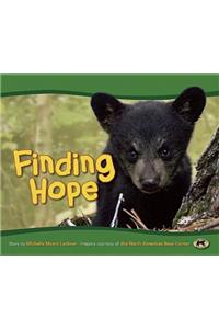 Finding Hope