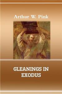 Gleanings in Exodus