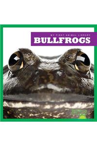 Bullfrogs