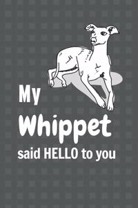 My Whippet said HELLO to you